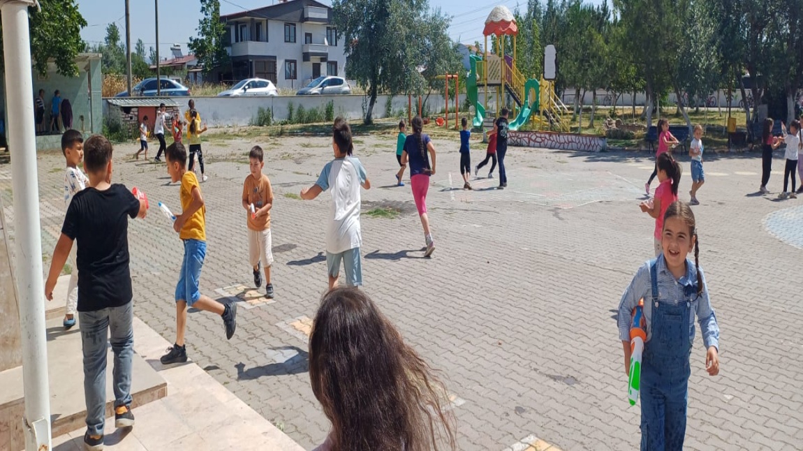 Dönem Sonu Faaliyet Haftası